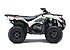 2019 Kawasaki Brute Force 750 for sale 200620415